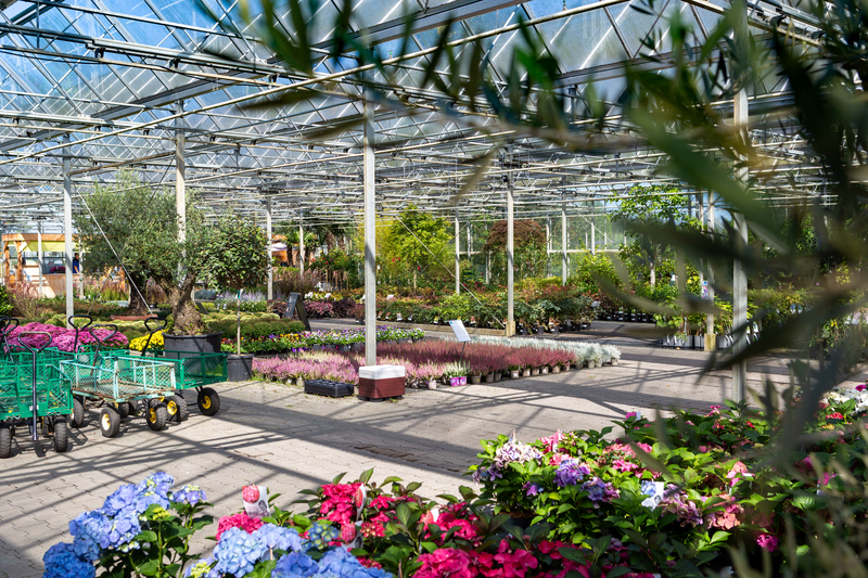 Tuincentrum Greensales in Balk friesland - planten leverancier voor hoveniersbedrijven Noord-nederland